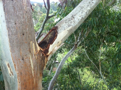 20120624-202136.jpg