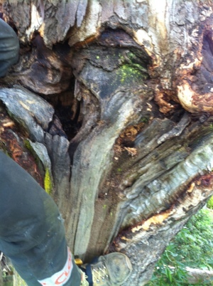 20120624-202149.jpg