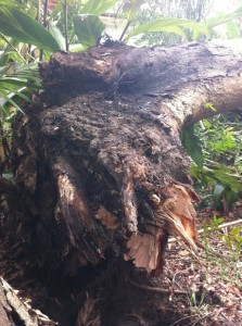 Included trunk