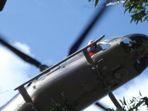Helicopter Tree Removal