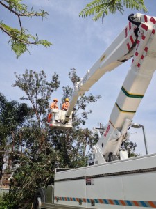 cherry picker