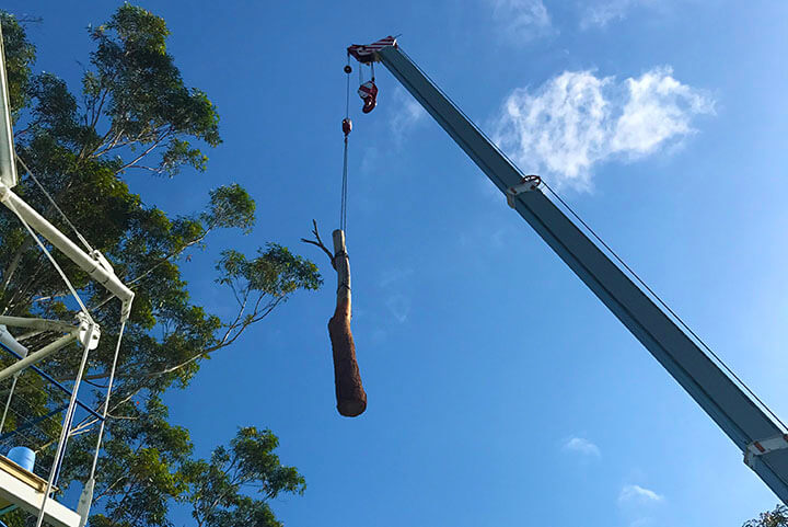 crane work