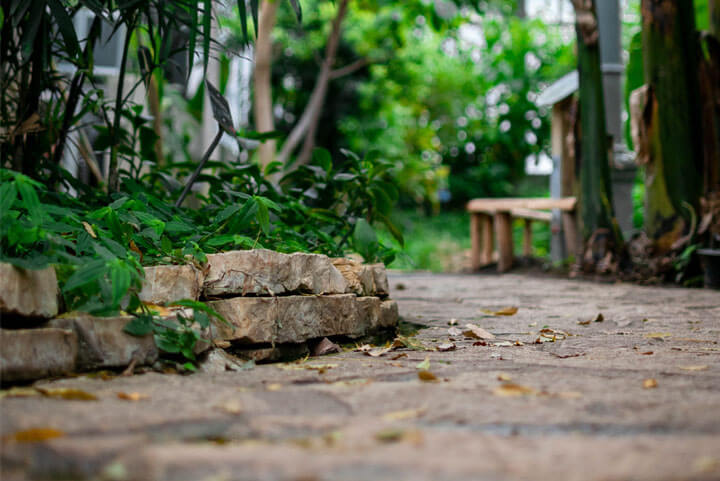 garden maintanance