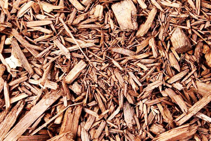 tree mulching